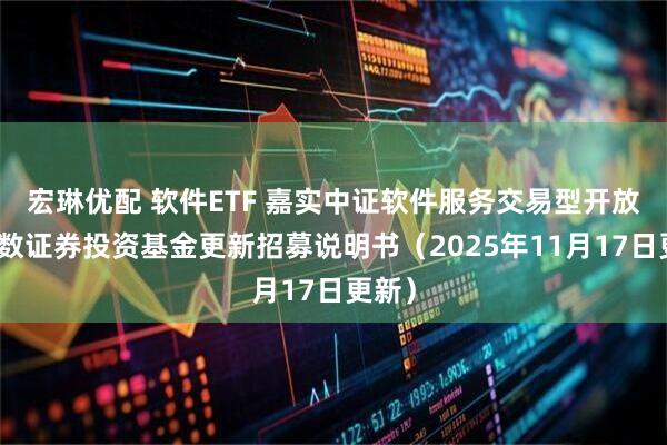 宏琳优配 软件ETF 嘉实中证软件服务交易型开放式指数证券投资基金更新招募说明书（2025年11月17日更新）