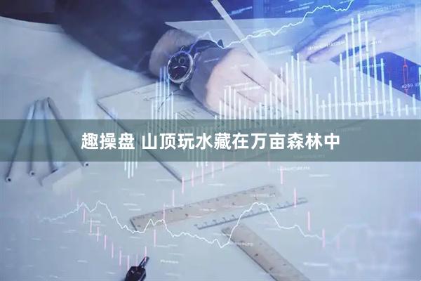 趣操盘 山顶玩水藏在万亩森林中